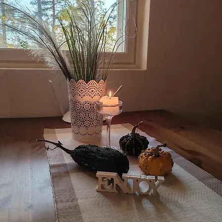 Dom wakacyjny Tammikallio Guest House, Near The Airport - Kodikas Vierasmaja Tuusulassa